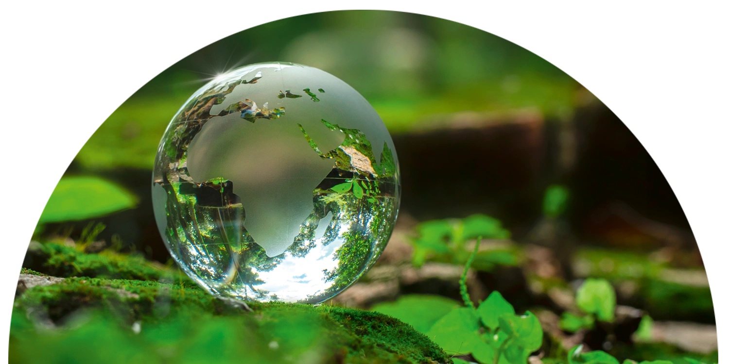 Umwelt-Bild