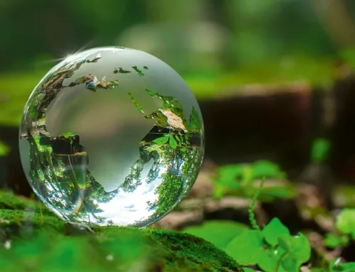 Sustainability at hpg Plastics